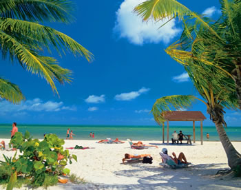 sugar momma in Florida, Florida sugar momma, Florida sugar mummy