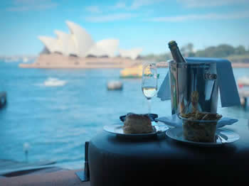 sugar momma in Sydney, Sydney sugar momma, sugar momma near me