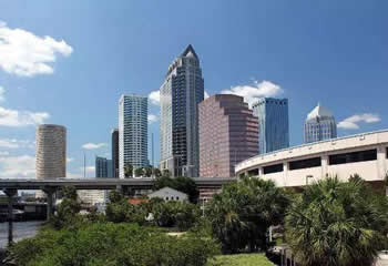 sugar momma in Tampa, Tampa sugar momma, Tampa sugar mummy