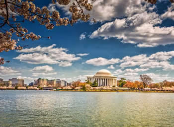 sugar momma in Washington D.C., Washington D.C. sugar momma, sugar momma near me